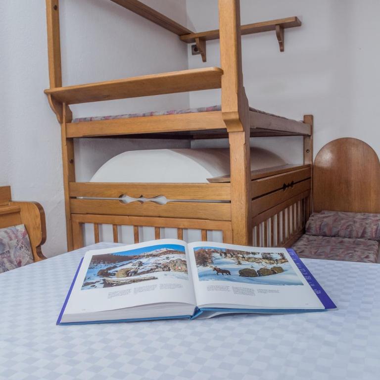 Apartment - Alpin Chalet Frenademetz - Appartamento - 6