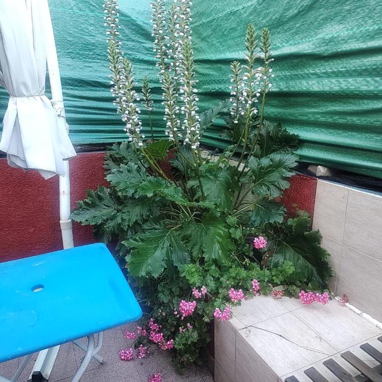 Del Bosque 1 - Apartamento de 2 dormitorios - 12