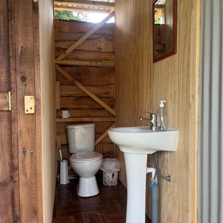 Glamping Peumayen carpintero - Tent - 5