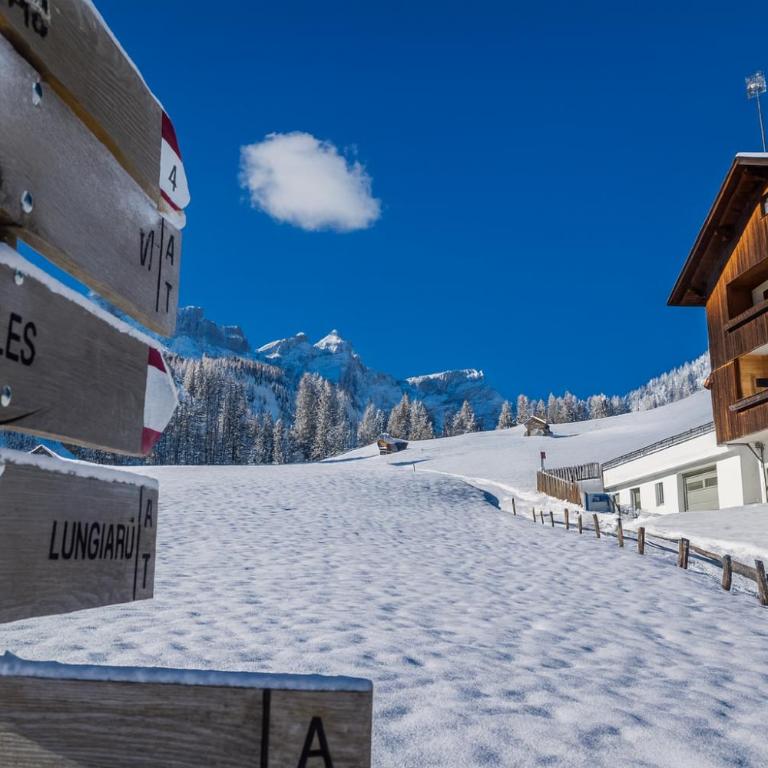 Apartment - Alpin Chalet Frenademetz - Appartamento - 36