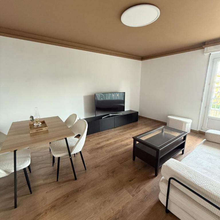 Newly renovated Private Parking Wifi in Mulhouse - Apartment mit 1 Schlafzimmer - 2