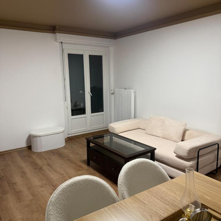Newly renovated Private Parking Wifi in Mulhouse - Apartment mit 1 Schlafzimmer - 4