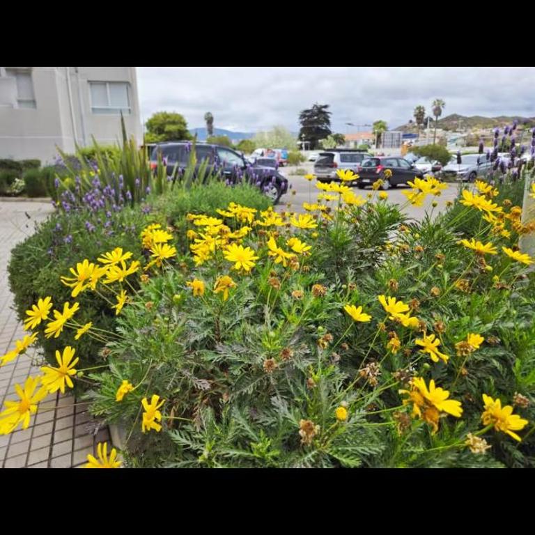 Departamento cerca enjoy coquimbo - Two-Bedroom Apartment - 9