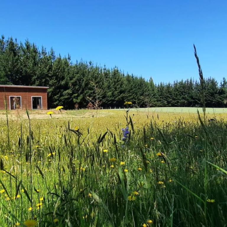 Parcela el Nogal - Three-Bedroom Chalet - 1