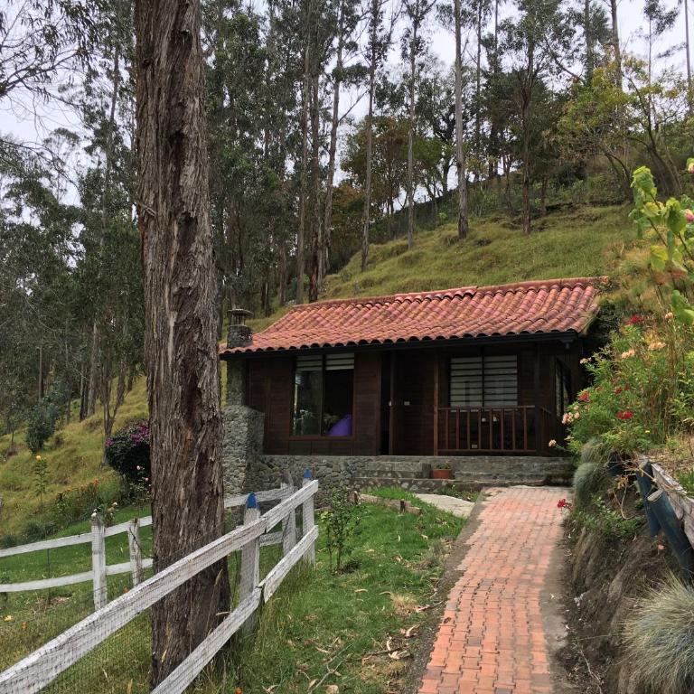 Cabañas Valle del Cocora La Truchera - Chalet - 3