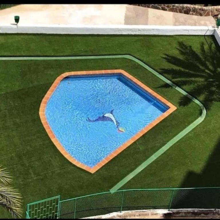 Molinos holidays playa del inglés - Apartment with Terrace - 19