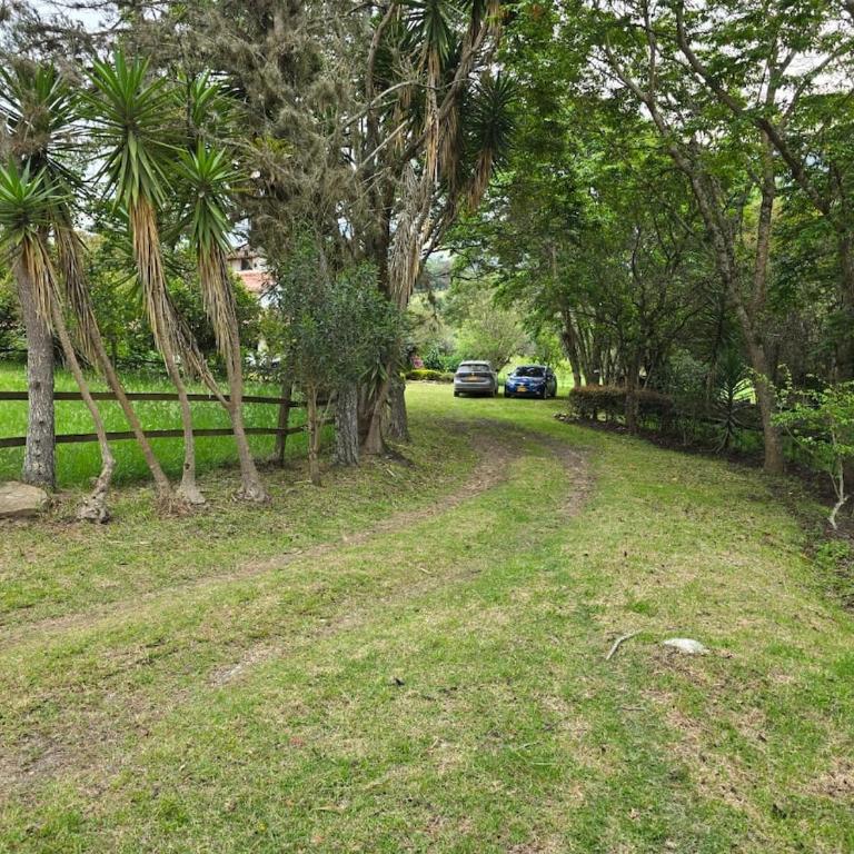 Country Apartment - Two-Bedroom Apartment - 2