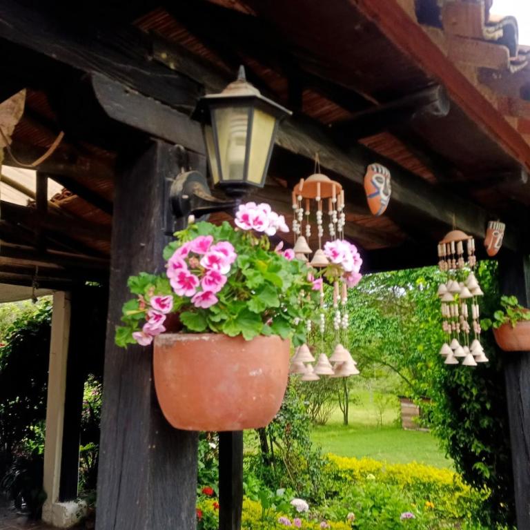 Country Apartment - Two-Bedroom Apartment - 9