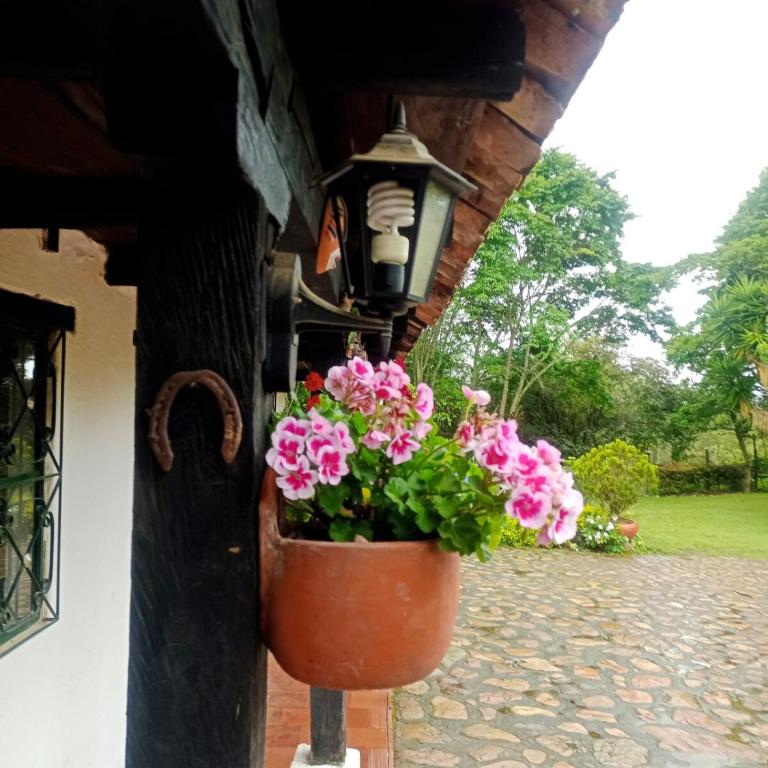 Country Apartment - Two-Bedroom Apartment - 15