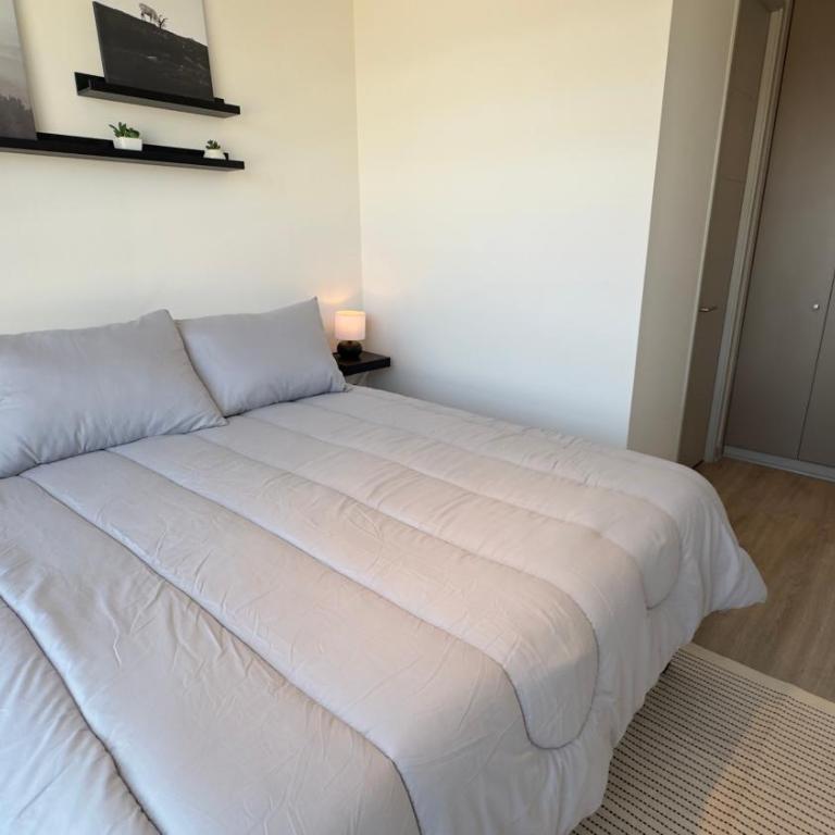 Oceana Suites Vicuña Mackenna, Ñuñoa - Double Room - 30