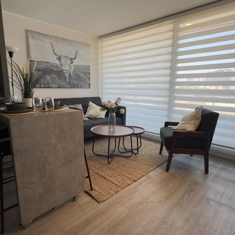 Oceana Suites Vicuña Mackenna, Ñuñoa - Double Room - 25