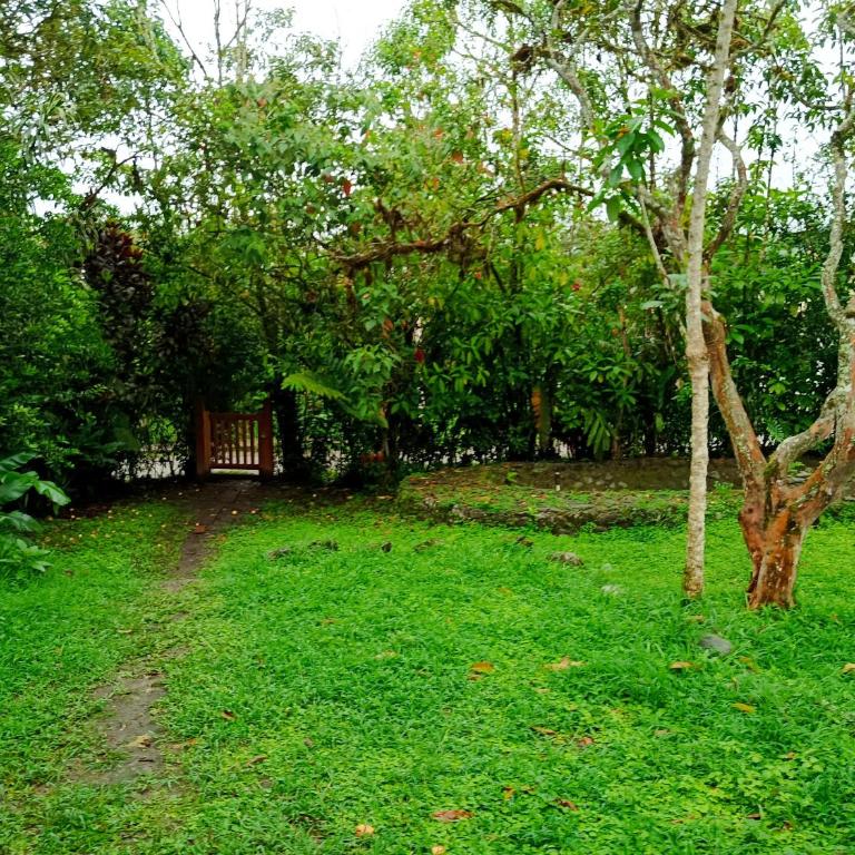 Casa El Trapiche de Mindo - Two-Bedroom House - 4