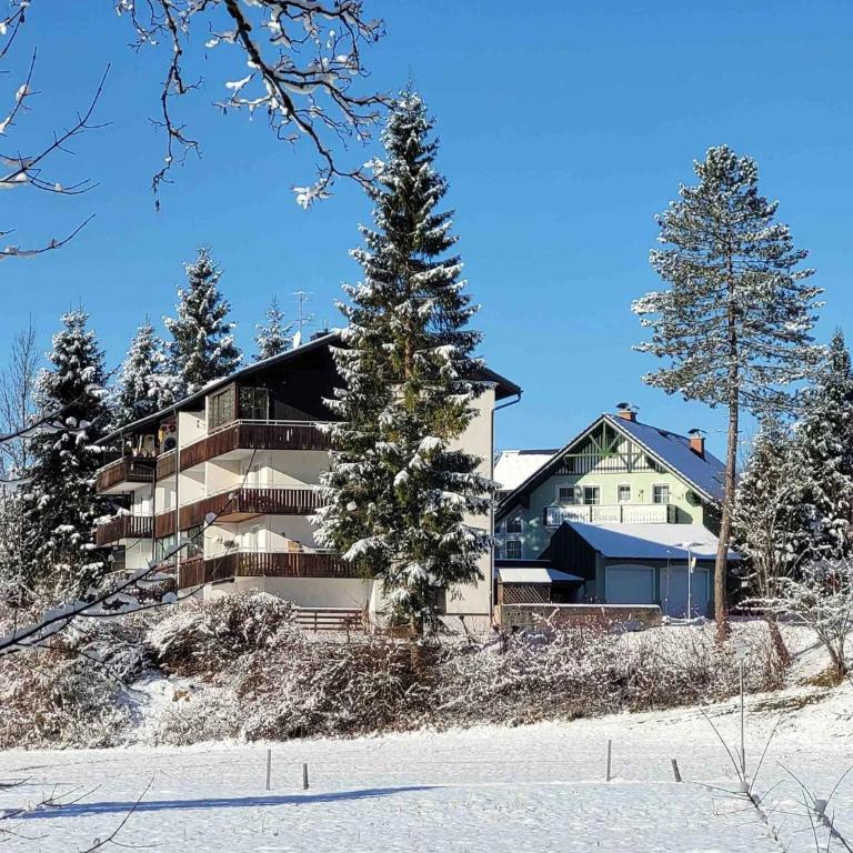 Apartment in Bad Mitterndorf - Steiermark 41122 - Apartment - 3