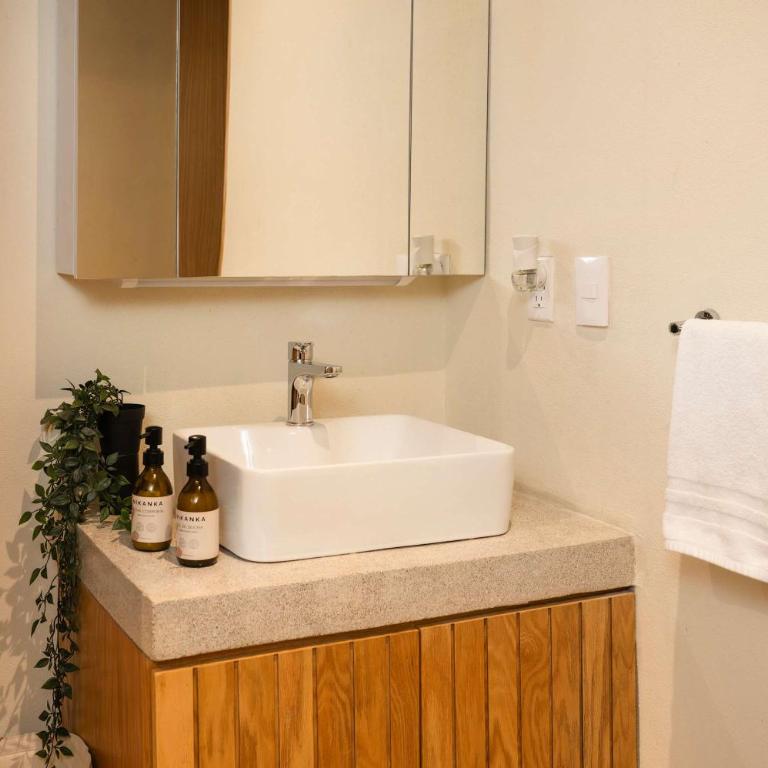 Downtown Heritage Retreat CDMX - Apartamento de 1 dormitorio - 13