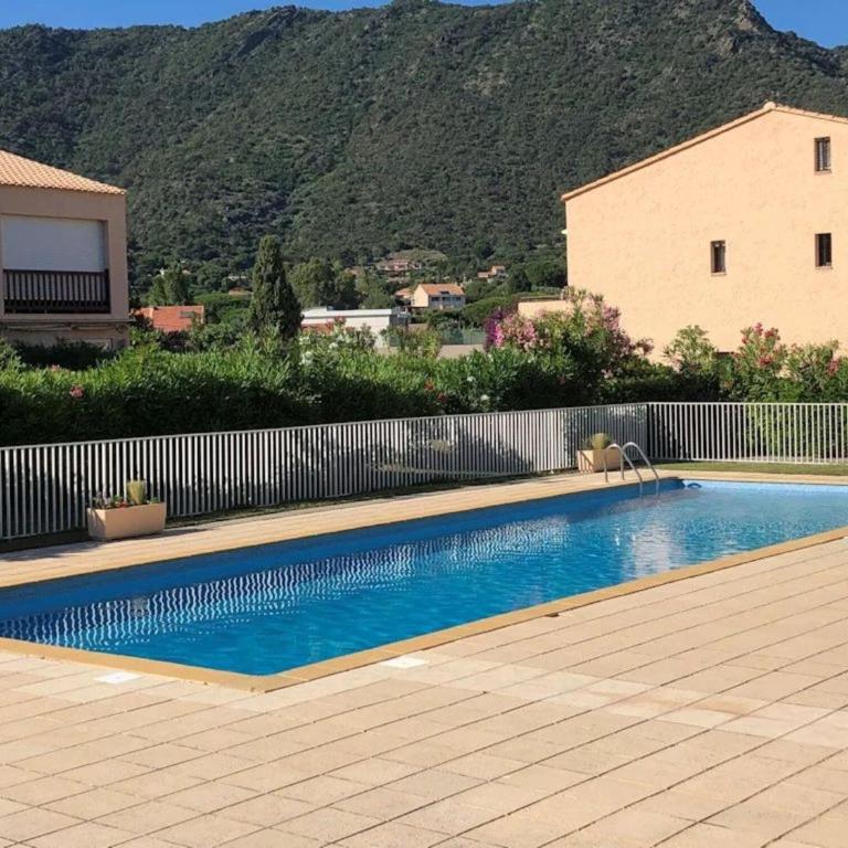 Studio Saint Clair pieds dans l'eau - Estudio con terraza - 1