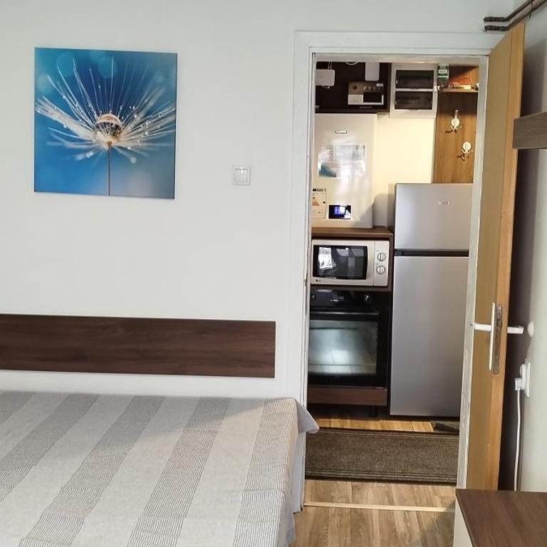 Apartman Vukašin - Two-Bedroom Apartment - 3