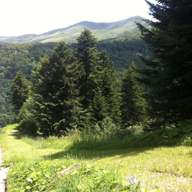 Residence Soleil des Thermes 2 - Appartamento con Vista Montagna - 16