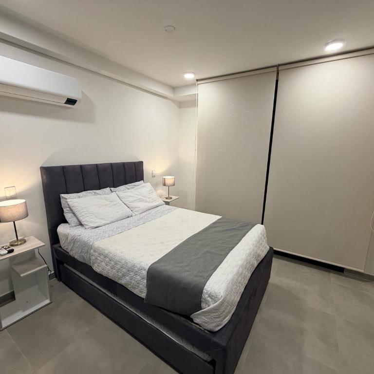Olimpo Suite - One-Bedroom Apartment - 1
