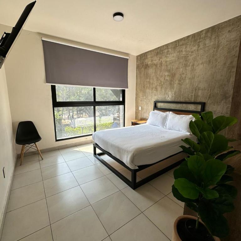 Rau Departamentos - Apartamento de 2 dormitorios - 2