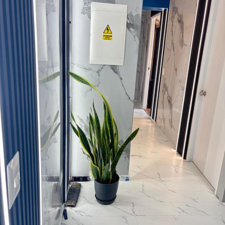 Cuarto privado en departamento compartido - Habitación Individual con baño compartido - 6