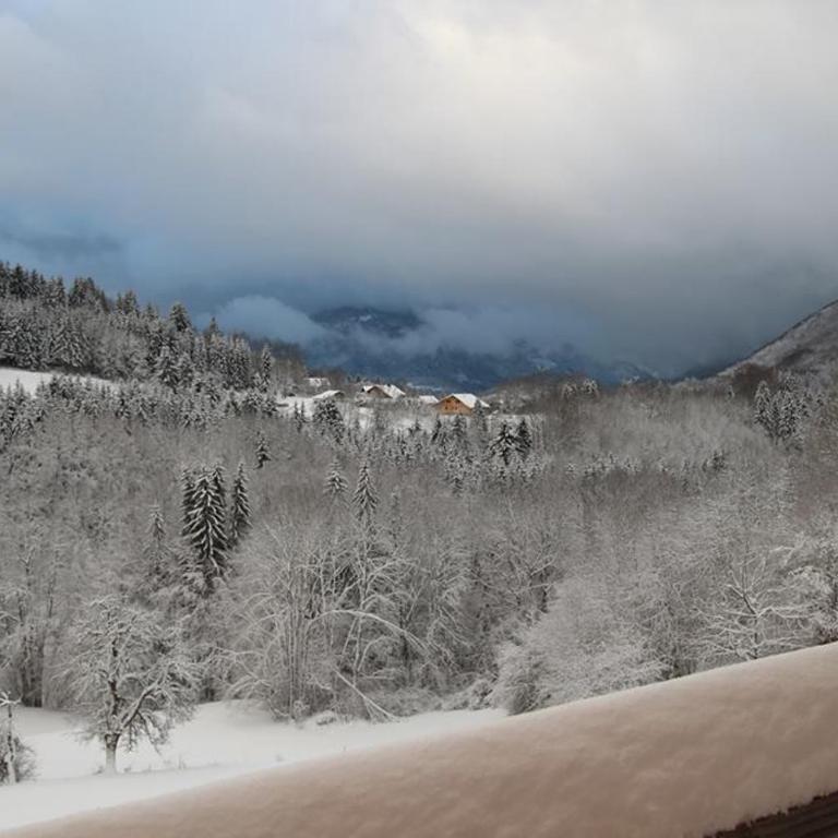 Chalet Eterlou - Appartement avec Vue sur la Montagne - 30
