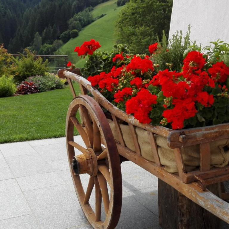 Apartment CANUS - Krumas Living - Kronplatz - Appartamento - Piano Terra - 18