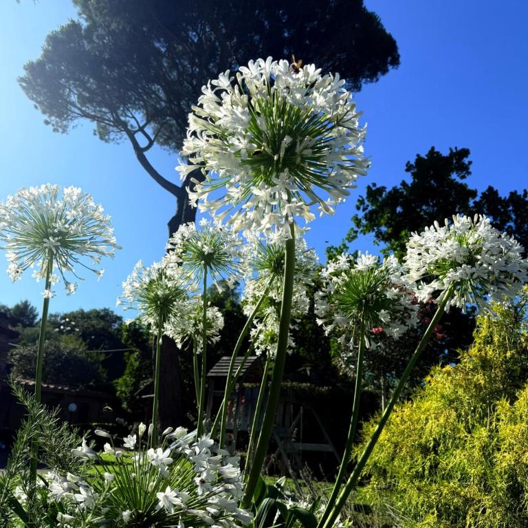 Villa Valentina - Villa - 69
