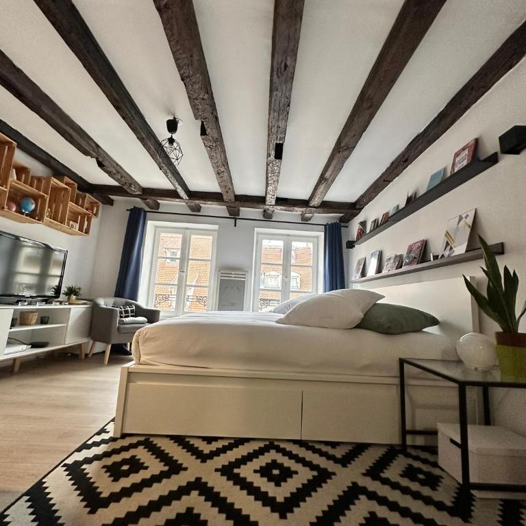 Central & Cosy Apartment Strasbourg City Center - One-Bedroom Apartment - 2