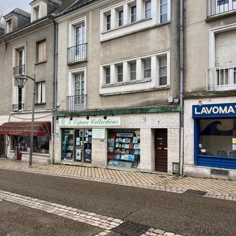 SUPERLOGIS L'Alysse Classé 3étoiles HYPERCENTRE BLOIS - Apartment mit 2 Schlafzimmern - 57