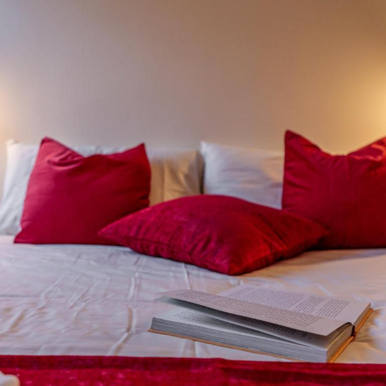 Monterosa Elite Lyshaus Luxury Mountain View - Appartamento con Vista Montagna - 11
