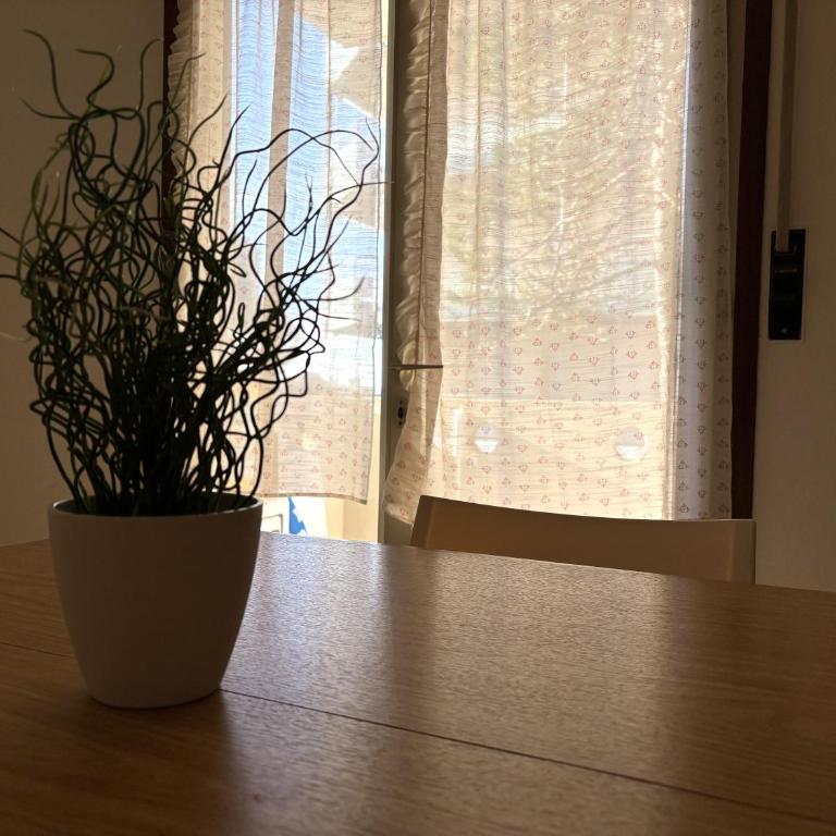 JET - Studio with Terrace - 16