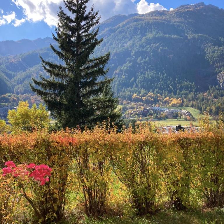 Appartement chaleureux avec vue sur les montagnes - Appartement - 1