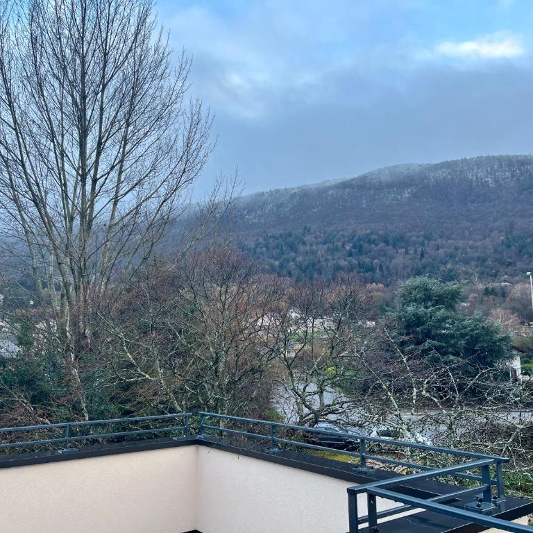 La Dame du Lac à Sevrier - Familienzimmer mit Gemeinschaftsbad - 8