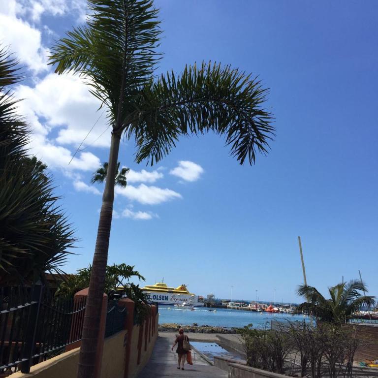 Cindy Golden Bay SeaView Terrace - Apartamento con vistas al mar - 41