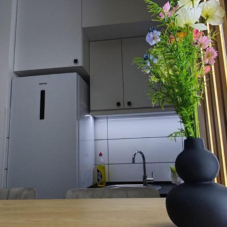 Royal lux apartman Beograd - Apartment - 4