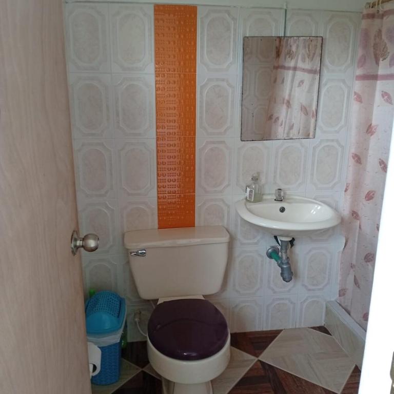 Mini Apartamento Rural Fusagasuga Finca los Pinos - One-Bedroom Apartment - 5