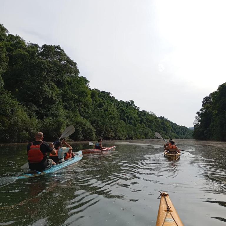 Cabaña Canto do Urutaú - Casa con 1 dormitorio - 19