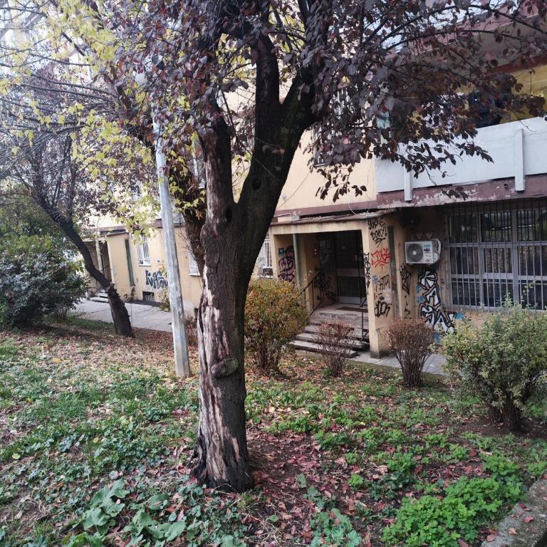 Ma Bel Apartments Sarajevo - Apartman sa 1 Spavaćom Sobom - 19