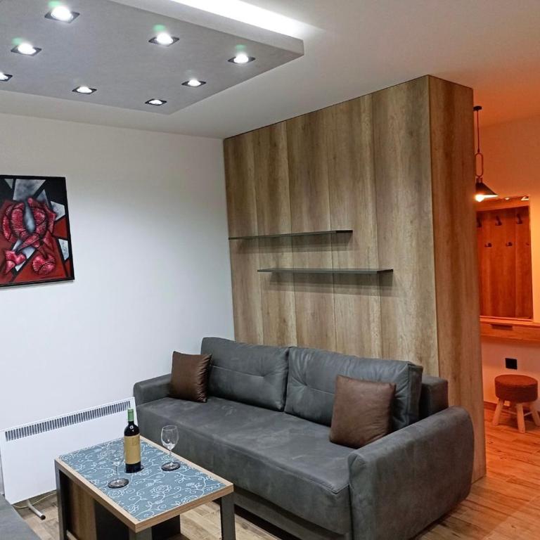 Apartmani ANA - Kopaonik, Treska - Studio - 8