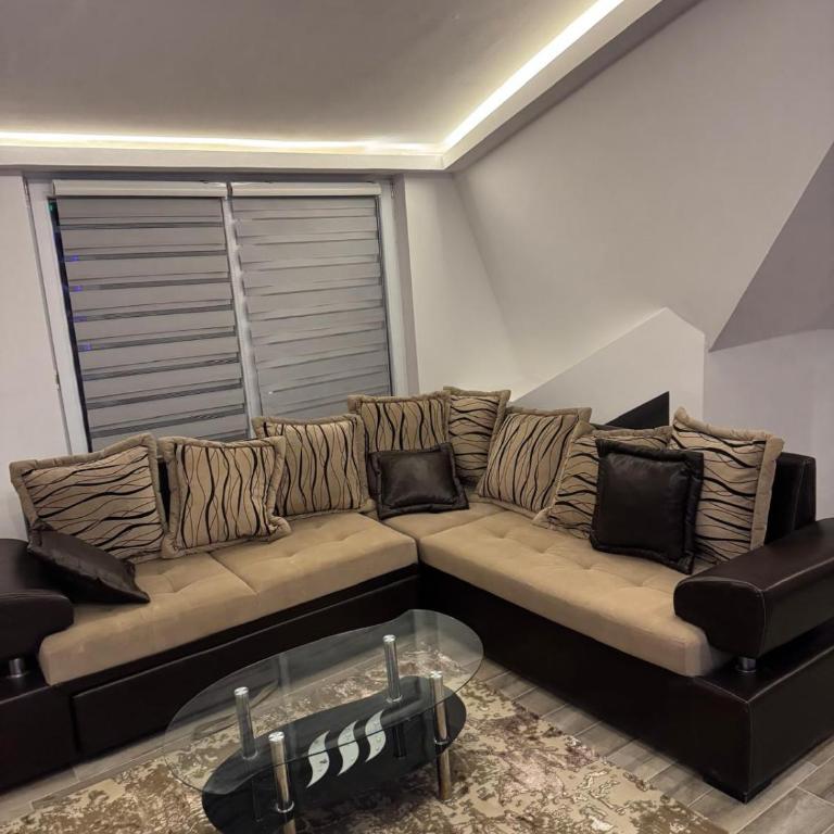 Kopaonik Najpovoljniji Apartmani - Standard Studio - 5