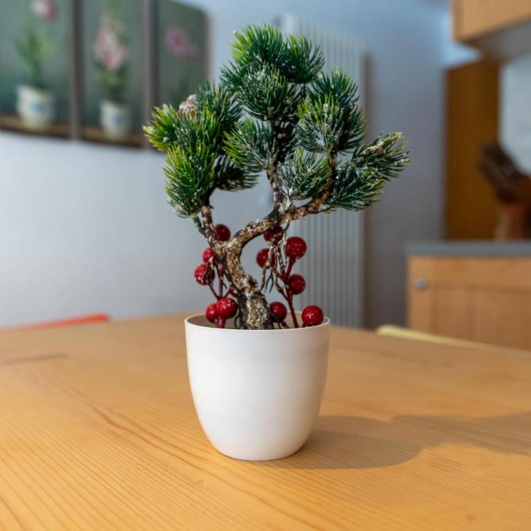 [Campiglio_Panoramic_Apartment] + 2 Free Parkings - Appartamento con 2 Camere da Letto - 5