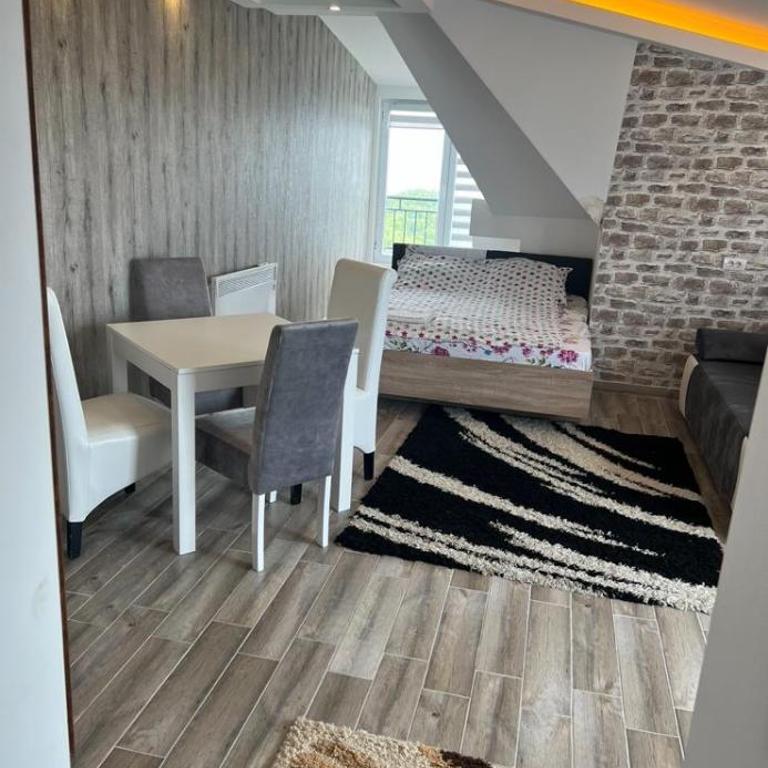 Kopaonik Najpovoljniji Apartmani - Studio - 6