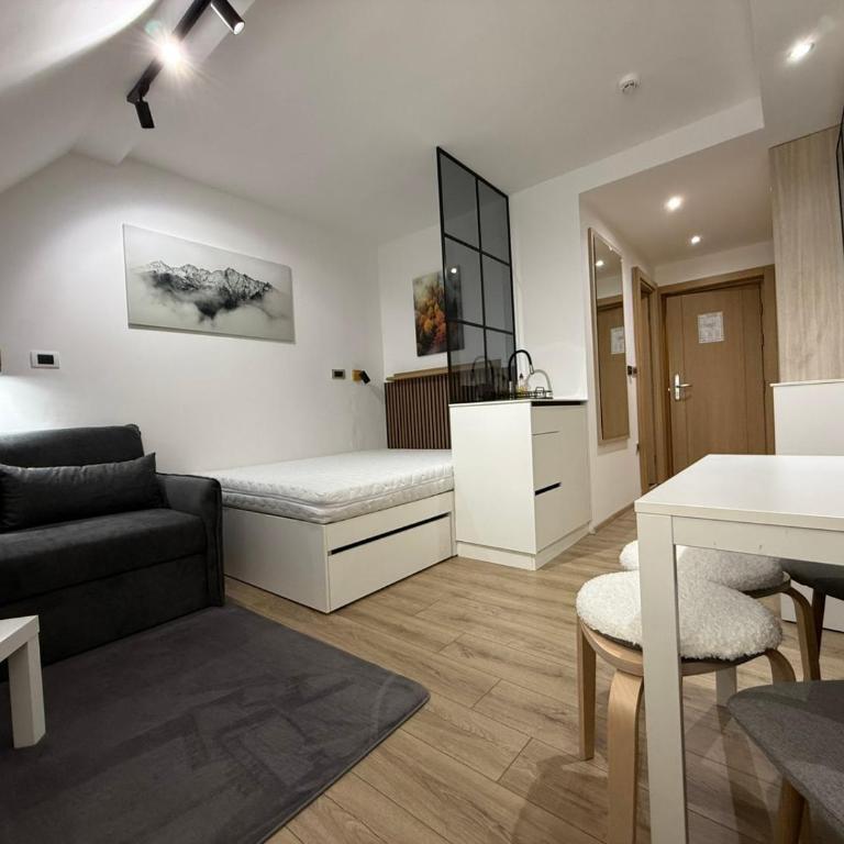 Snow White apartments - King Studio with Sofa Bed - 4