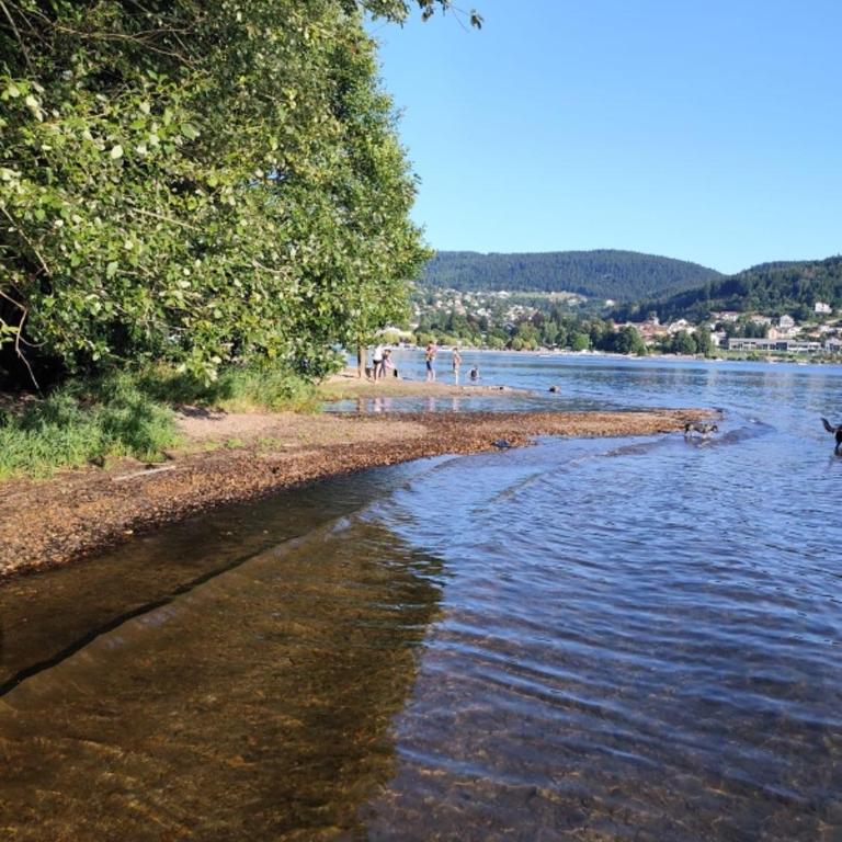 Au bord du Lac Belvedere à Gerardmer - Appartement 2 Chambres - 13