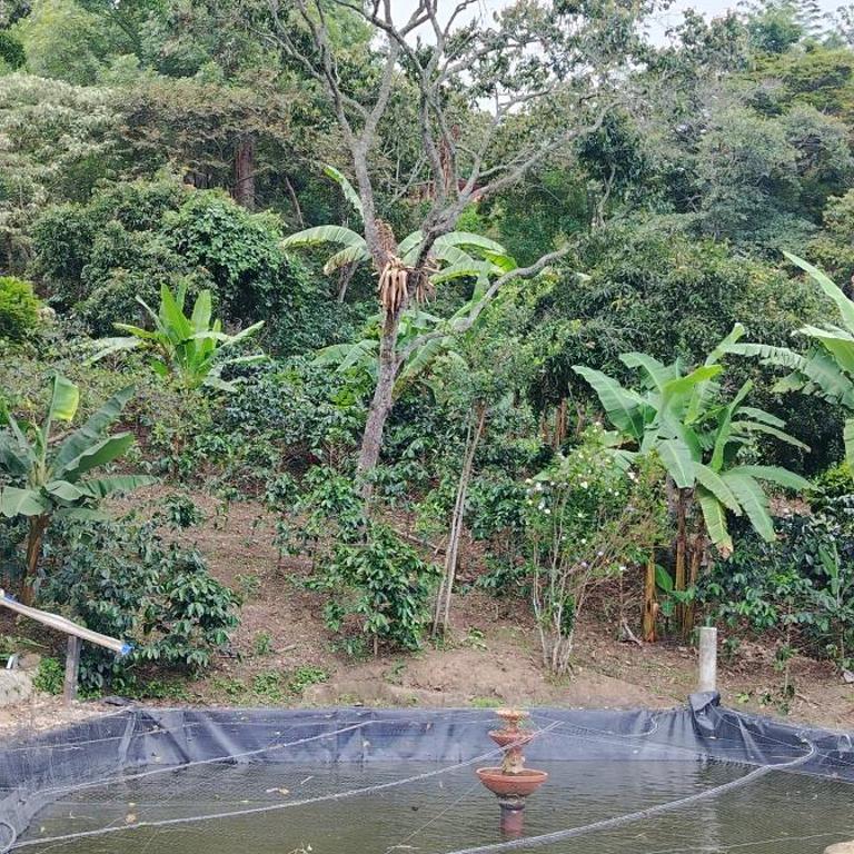 Café y sueños - Tent - 15