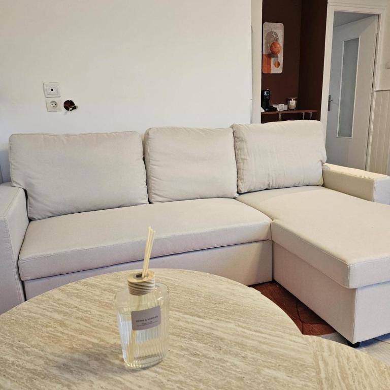 Le petit savoyard - Appartement 2 Chambres - 6