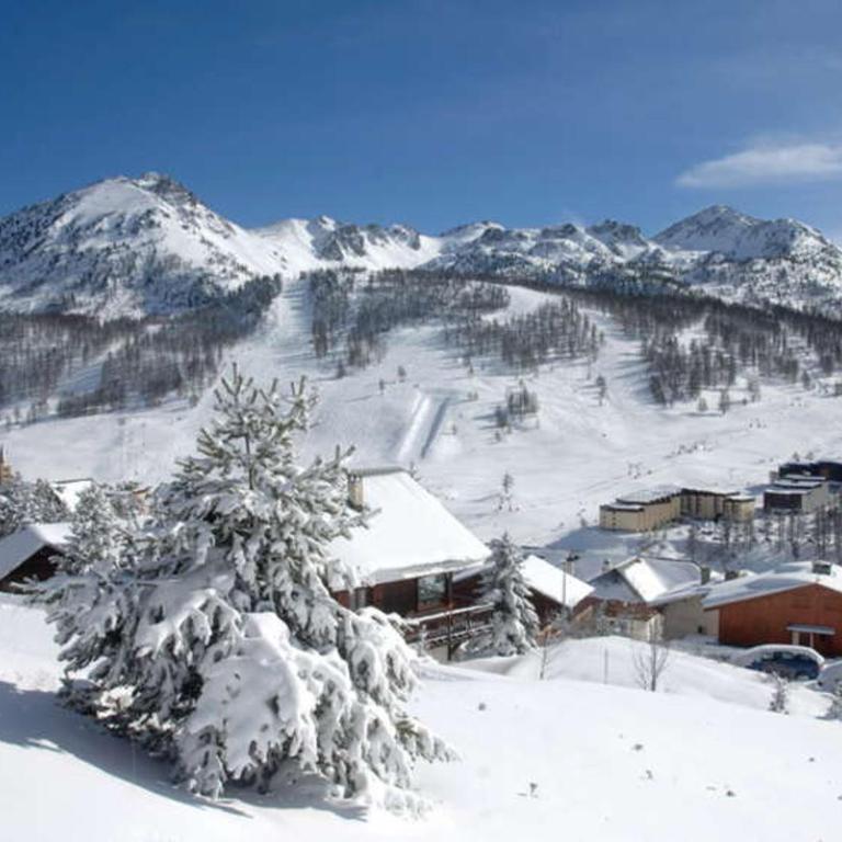 Grand studio ski aux pieds, lumineux et animaux acceptés - FR-1-445-116 - Studio - 14