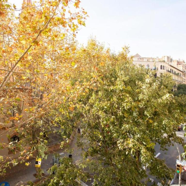 Modern Vista Apartments Eixample - Apartamento de 2 dormitorios con balcón - 6