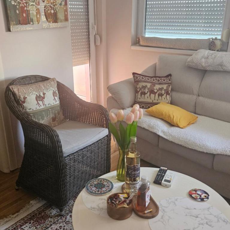 Aleksandra - Apartman sa 1 Spavaćom Sobom - 2