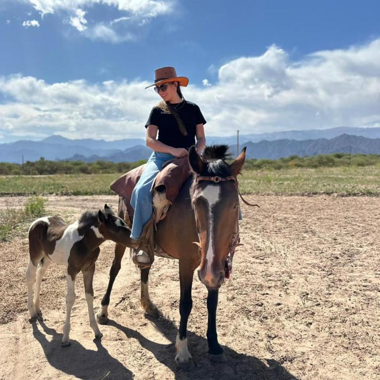 Eco Lodge - Campos de artaza - Bungalow Estándar - 43